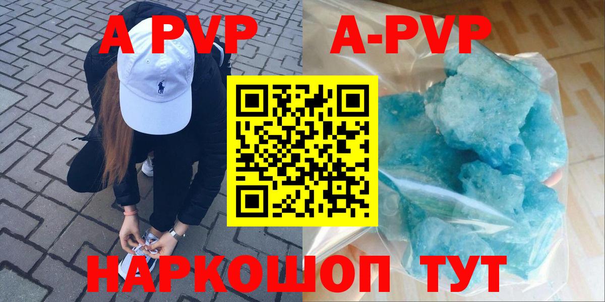 A PVP СК Новочеркасск