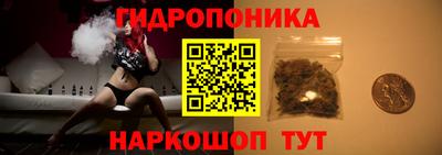шишки Аргун