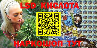 шишки Аргун