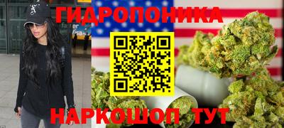 стафф Обнинск