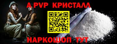 шишки Аргун