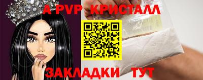 шишки Аргун