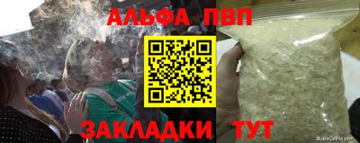 шишки Аргун