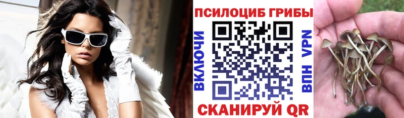 мега ONION  Новочеркасск  Псилоцибиновые грибы ЛСД  сколько стоит 