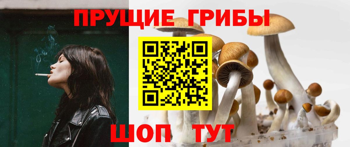 Галлюциногенные грибы GOLDEN TEACHER  Вход с VPN  Новочеркасск 