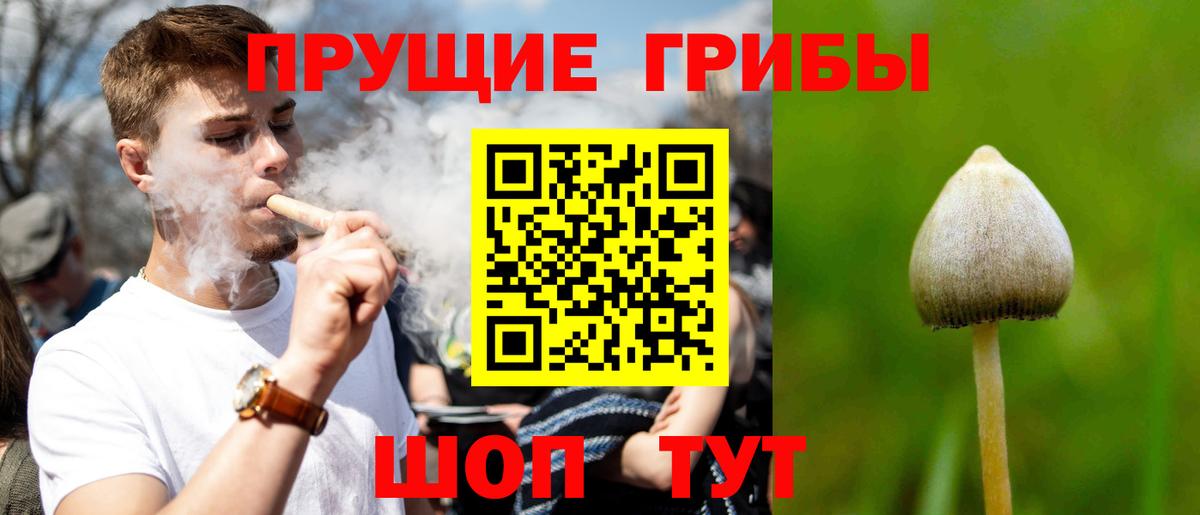 закладки  Вход с VPN  Новочеркасск  Галлюциногенные грибы Cubensis 