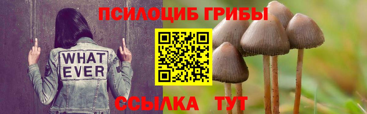 Галлюциногенные грибы мухоморы Новочеркасск